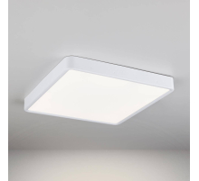 Потолочный светодиодный светильник Elektrostandard DLS034 24W 4200K a043018