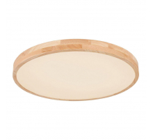 Потолочный светодиодный светильник Globo Leanara 41756-48