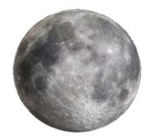 Накладной светильник LEEK LE061201-146