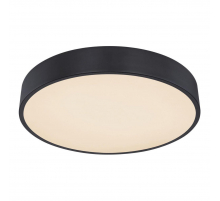 Потолочный светодиодный светильник Globo Leanara 41756-24B