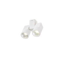 Потолочный светодиодный светильник Citilux Дубль CL556100