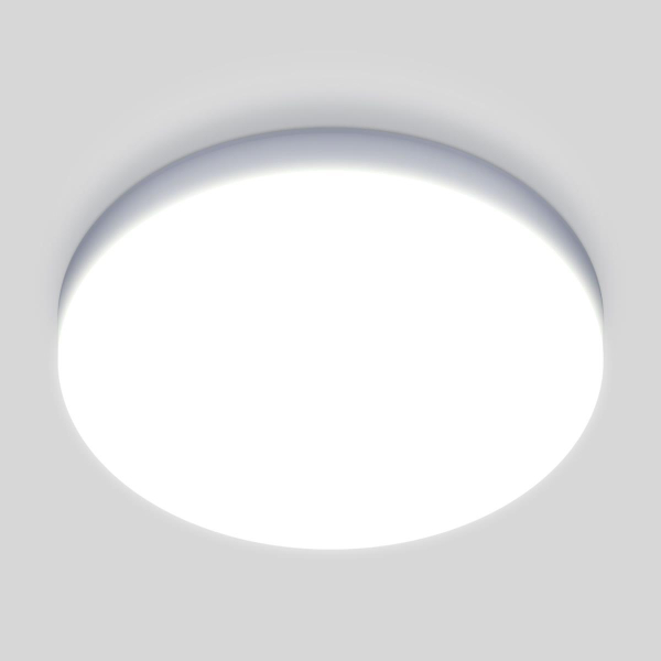 Потолочный светодиодный светильник Elektrostandard DLR043 10W 4200K a047940