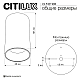 Потолочный светильник Citilux Axel CL512110R