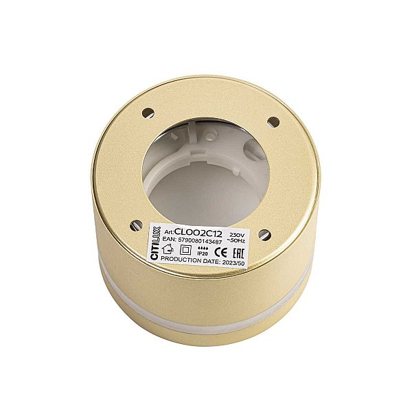 Потолочный светильник Citilux Hardy CL002C12