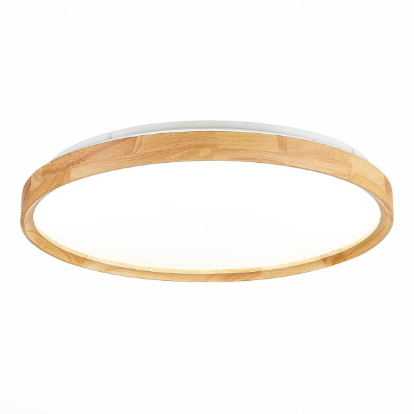 Потолочный сетодиодный светильник Evoluce Delia SLE201382-01 Потолочный сетодиодный светильник Evoluce Delia SLE201382-01