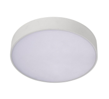 Потолочный светодиодный светильник Aployt Evon APL.0114.09.18