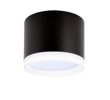 Накладной потолочный светильник Ritter Arton 59947 0