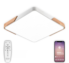 Потолочный светодиодный светильник Natali Kovaltseva LED LAMPS 81411