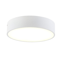 Накладной светодиодный светильник Citilux Тао CL712180N