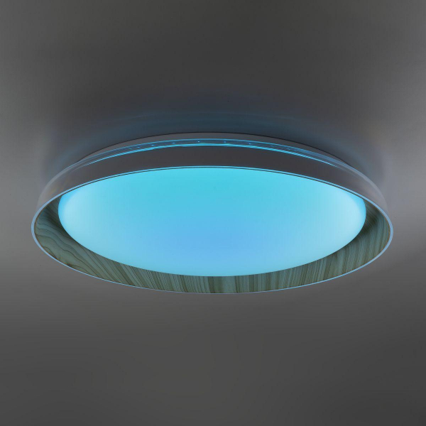 Потолочный светодиодный светильник Citilux Mega CL752452G Потолочный светодиодный светильник Citilux Mega CL752452G