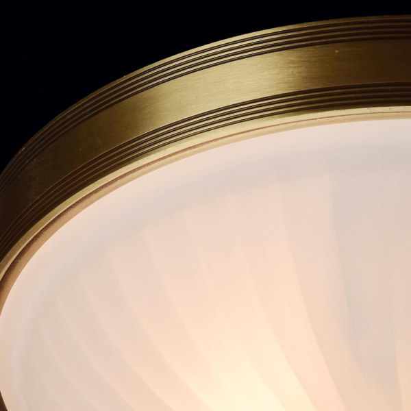 Потолочный светильник MW-Light Ангел 295013402 Потолочный светильник MW-Light Ангел 295013402