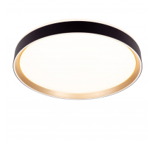 Потолочный светодиодный светильник Citilux Boss CL751451G