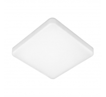 Потолочный светодиодный светильник Elektrostandard DLS043 10W 4200K a047941