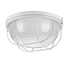 Накладной светильник WOLTA ДПБ03-100-002