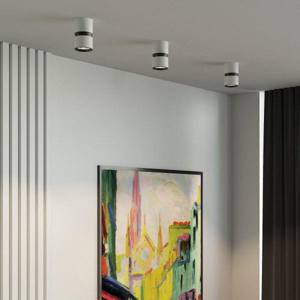 Потолочный светодиодный светильник Elektrostandard Kayo 25049/LED 12W 4000К белый/черный a064731 Потолочный светодиодный светильник Elektrostandard Kayo 25049/LED 12W 4000К белый/черный a064731