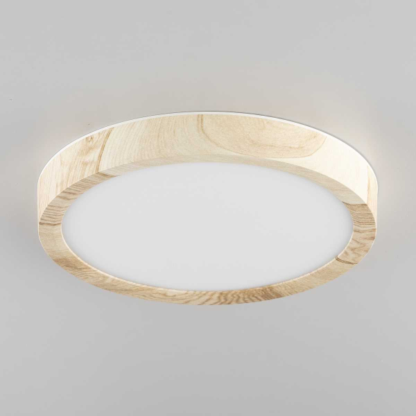 Накладной светильник Citilux CL738122N