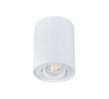 Точечный светильник Kanlux BORD DLP-50-W 22551