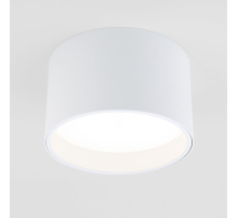 Потолочный светодиодный светильник Elektrostandard Banti 25123/LED 13W 3000K белый a063927