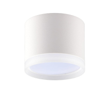 Накладной потолочный светильник Ritter Arton 59946 3