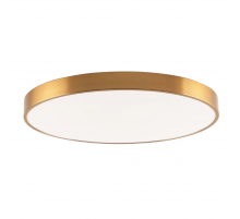 Потолочный светодиодный светильник Zortes Tortty ZRS.02566.96