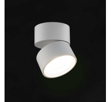 Накладной потолочный светильник Lumker R-SSF-WH-NW 014417