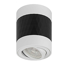 Накладной светильник ЭРА OL33 WH/BK Б0056380