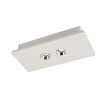 Потолочный светодиодный светильник Globo Christine 55010-2