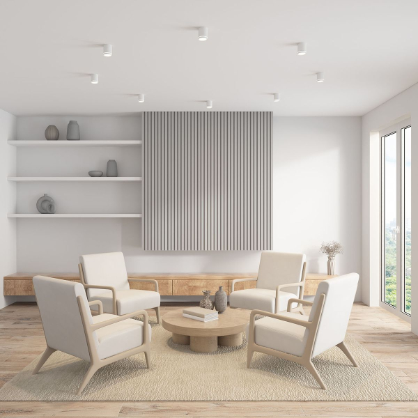 Накладной светодиодный светильник Denkirs DK4016-WH