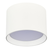 Потолочный светильник ST Luce ST163.502.01