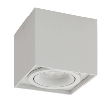 Потолочный светильник Denkirs DK2003-WH