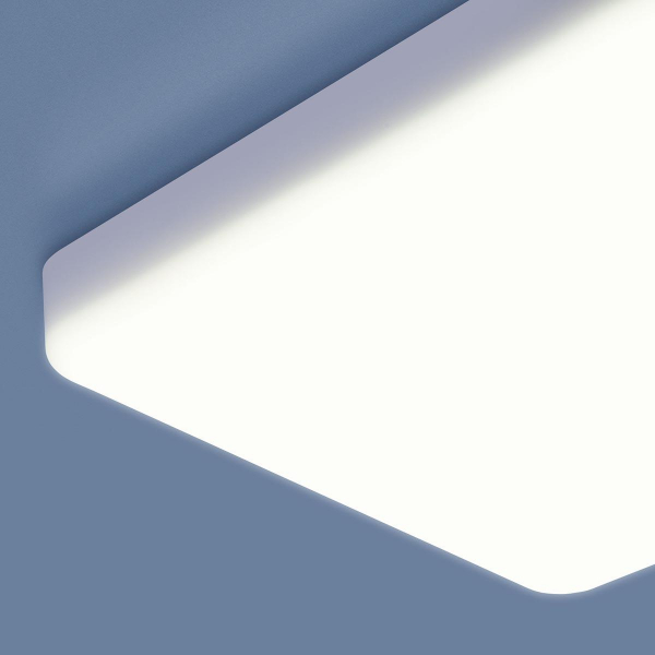 Потолочный светодиодный светильник Elektrostandard DLS043 10W 4200K a047941 Потолочный светодиодный светильник Elektrostandard DLS043 10W 4200K a047941