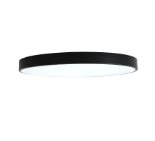 Потолочный светодиодный светильник Zortes Tortty ZRS.02563.120