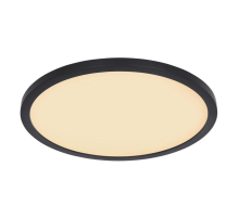 Потолочный светодиодный светильник Globo Sapana 41562-24B