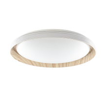 Потолочный светодиодный светильник Citilux Mega CL752452G