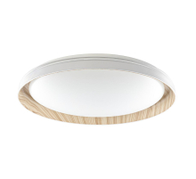 Потолочный светодиодный светильник Citilux Mega CL752452G