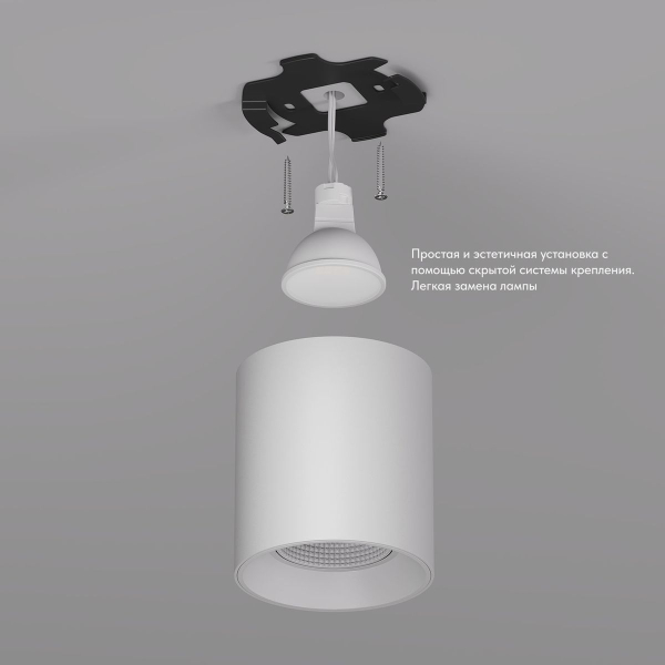 Накладной светильник Denkirs DK3090-WH