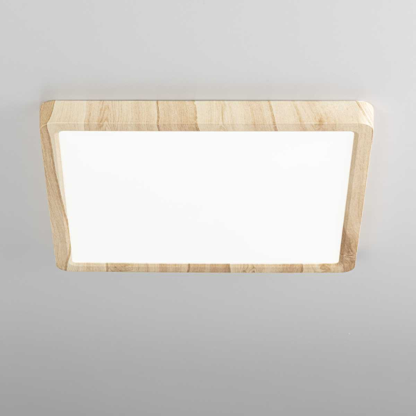 Накладной светильник Citilux CL738K242V