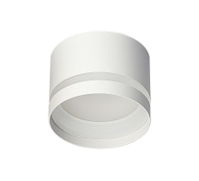Потолочный светильник Citilux Hardy CL002C10