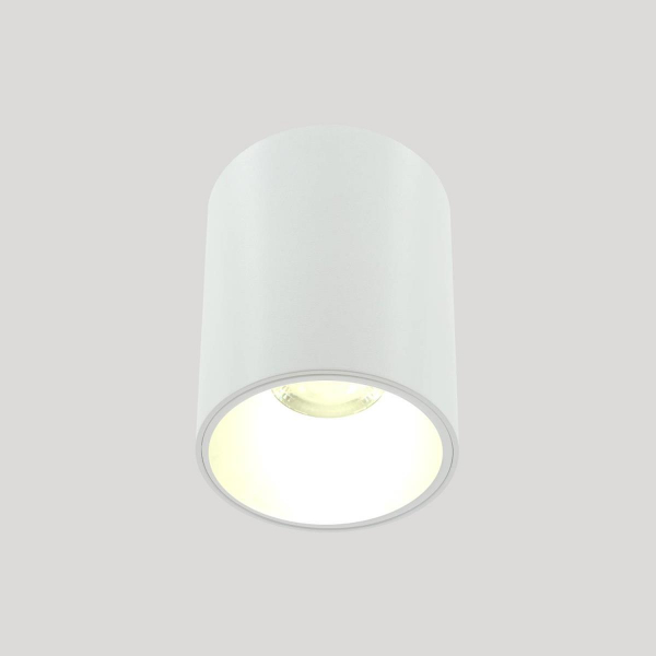 Накладной светильник Lightera Shamrock LE200CL-1W