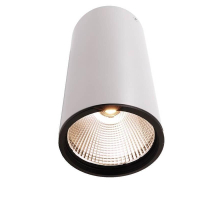 Накладной светильник Deko-Light Luna 40 348063