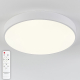 Потолочный светодиодный светильник Natali Kovaltseva LED LAMPS 81112/5C