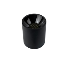 Накладной светильник ВОСХОД ELKK.10.40.SF.SW