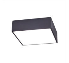 Накладной светодиодный светильник Citilux Тао CL712X122N