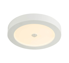 Потолочный светодиодный светильник Globo Paula 41605-18S