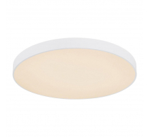 Потолочный светодиодный светильник Globo Leanara 41756-48W