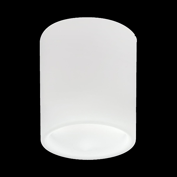 Накладной светильник Lightstar Solido E27 216626
