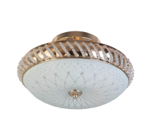 Накладной светильник Toplight Loreen TL1490Y-03GC