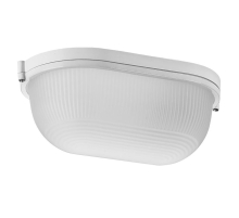 Накладной светильник WOLTA ДПБ04-100-001