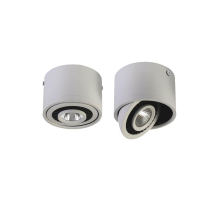 Потолочный светодиодный светильник Favourite Reflector 1775-1C