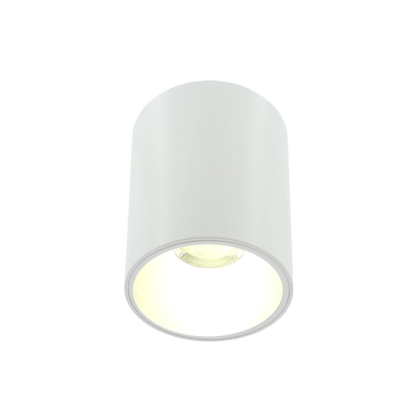 Накладной светильник Lightera Shamrock LE200CL-1W